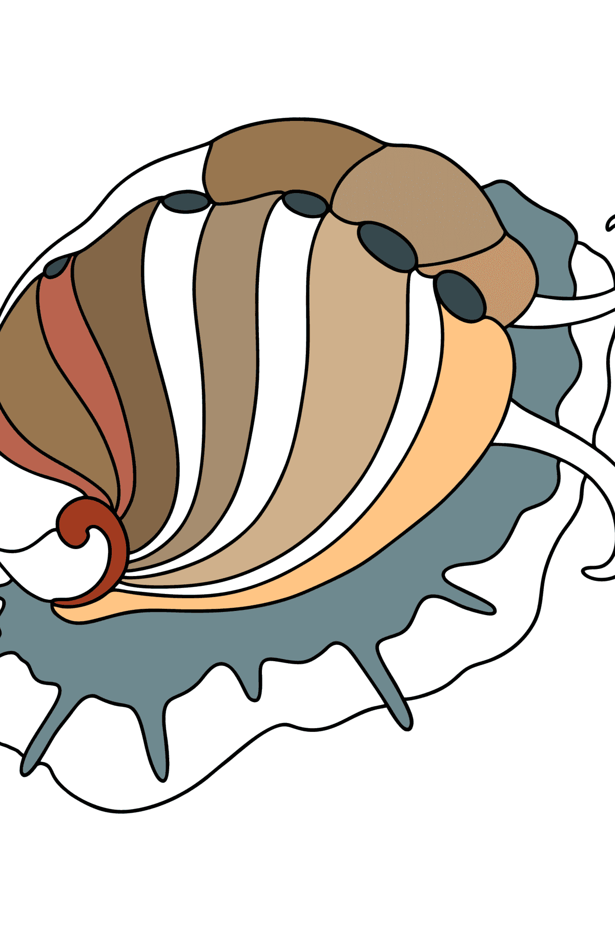 Mollusk abalone coloring page - Coloring Pages for Kids