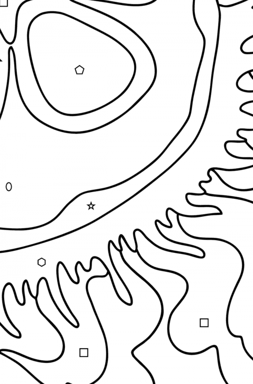 Boyama sayfası ay denizanası