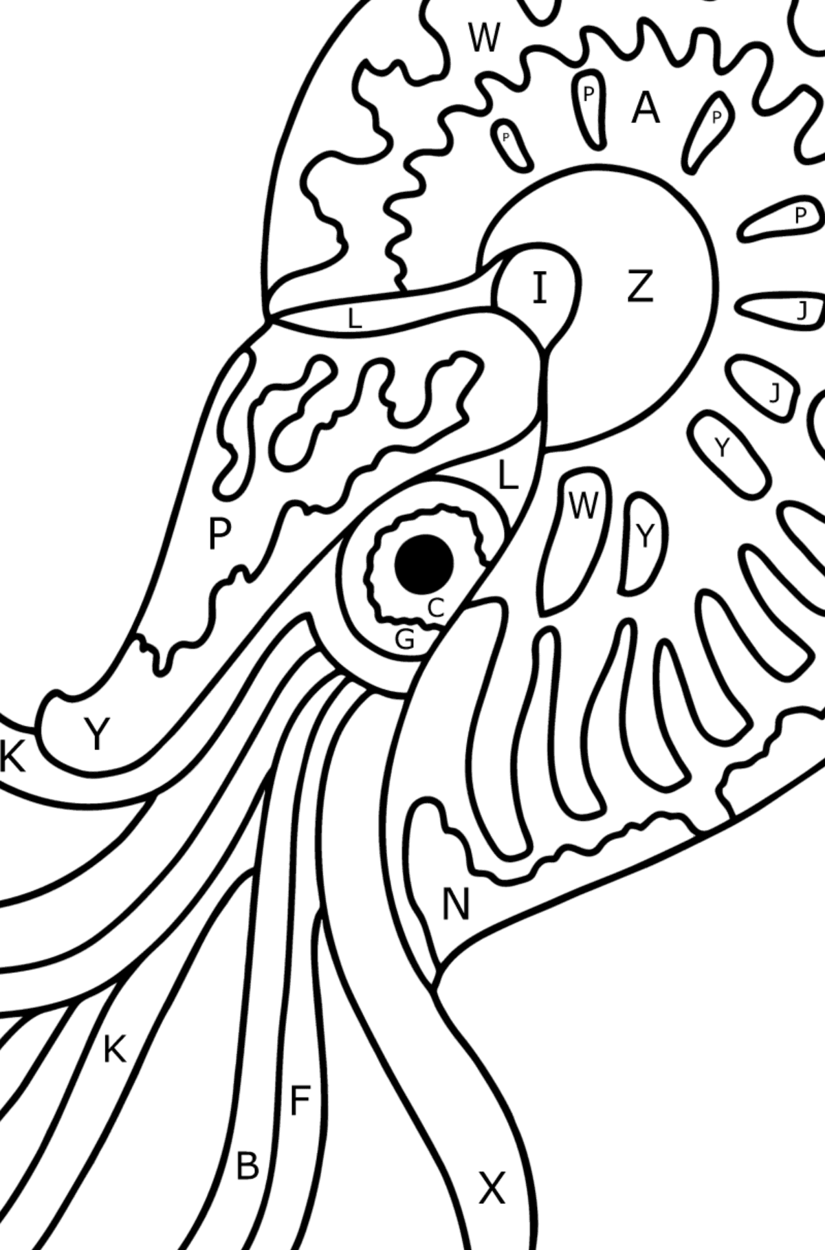 Nautilus coloring page - Coloring by Letters for Kids