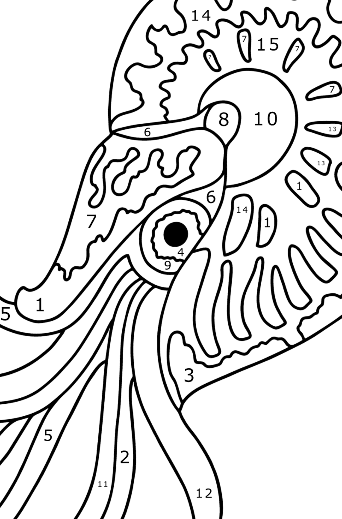 Nautilus coloring page - Coloring by Numbers for Kids
