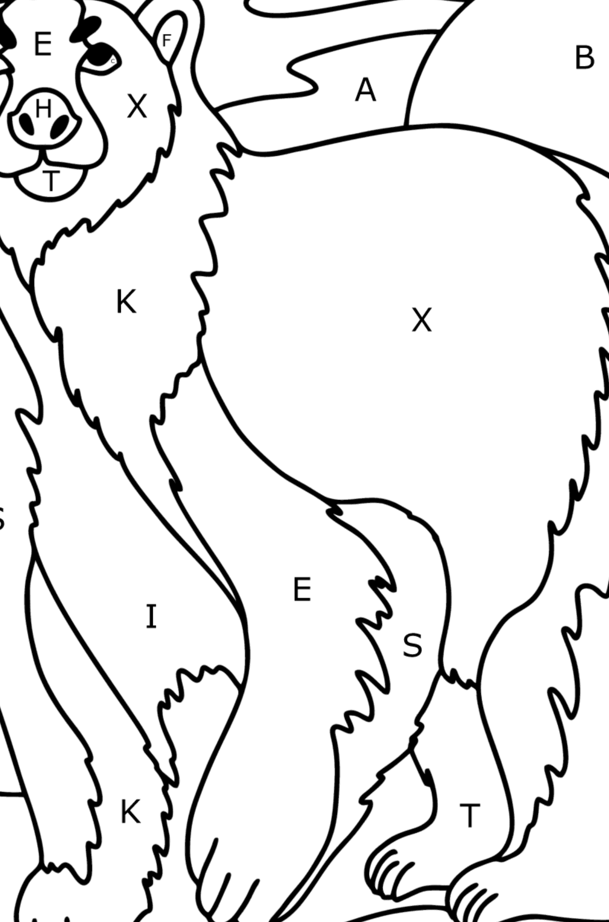 Polar bear coloring page - Coloring by Letters for Kids