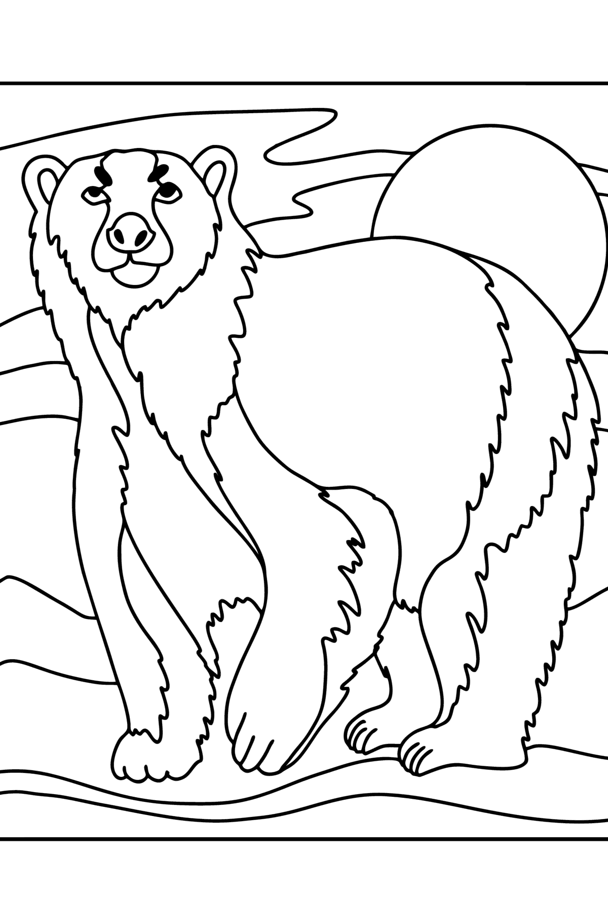 Desen de colorat urs polar - Desene de colorat pentru copii