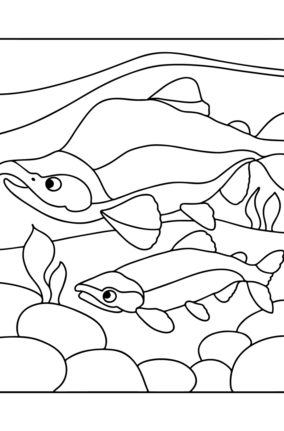 Ausmalbild Roter Lachs - Malvorlagen für Kinder