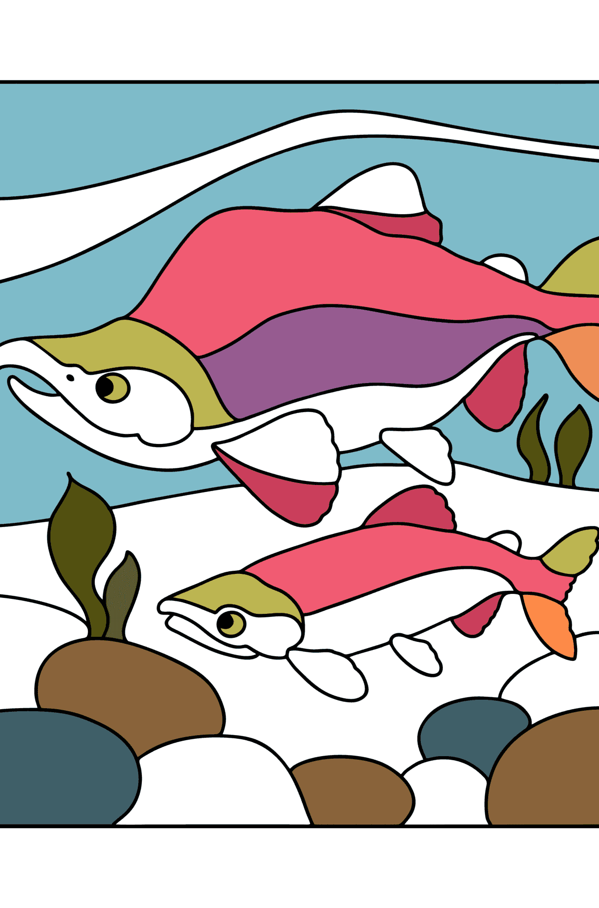 Раскраска Нерка - Картинки для Детей