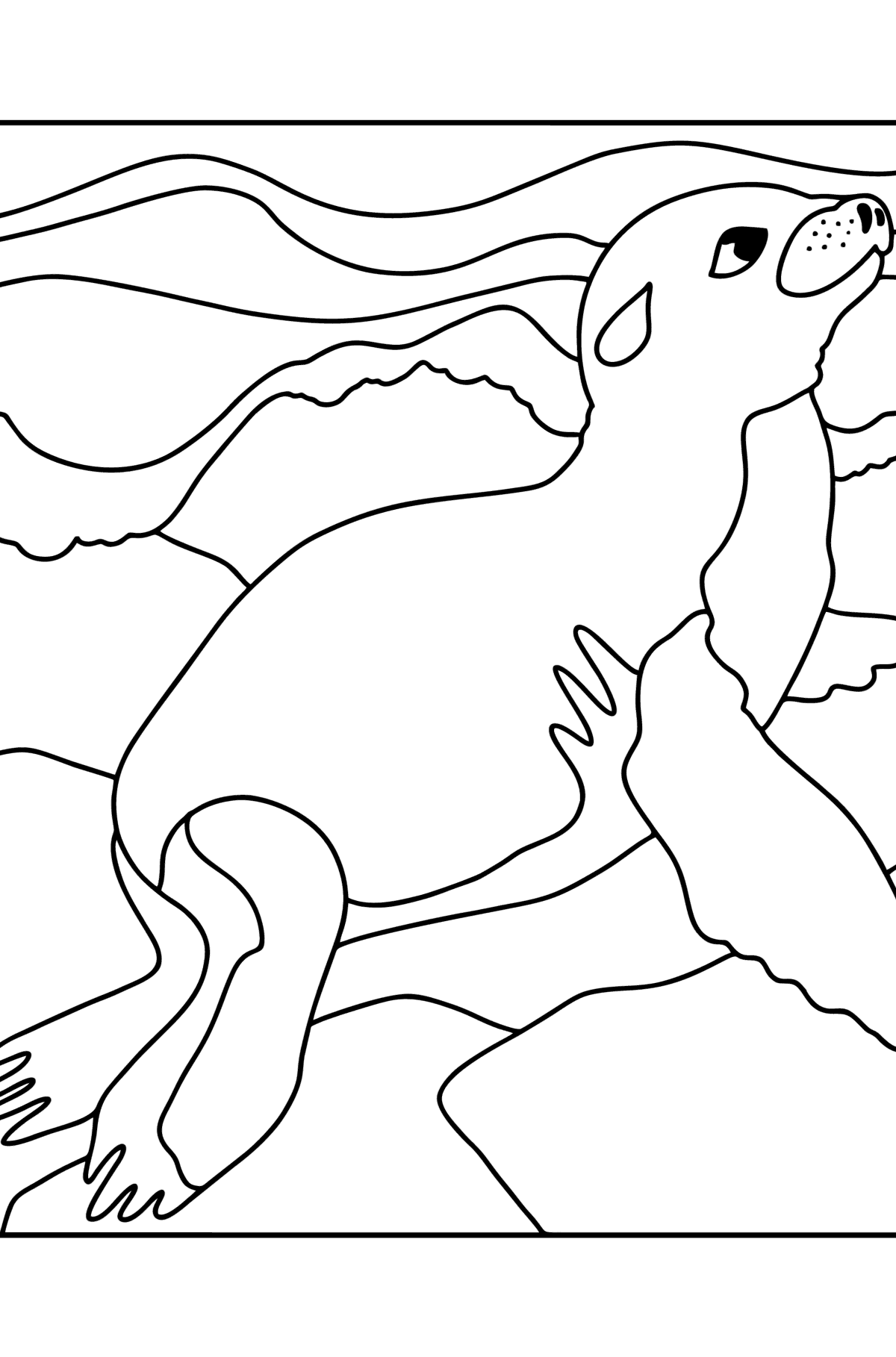 Desen de colorat focă mică - Desene de colorat pentru copii