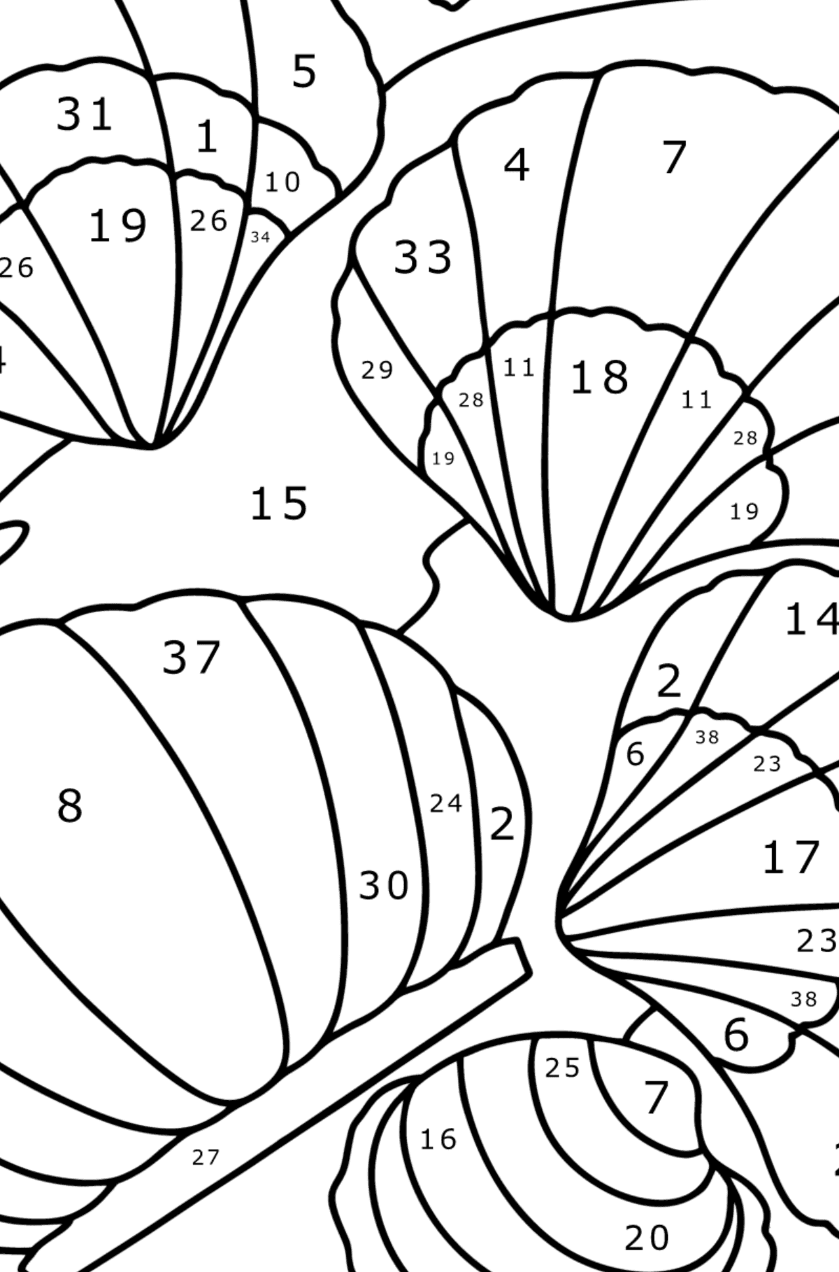 Shells coloring page for Kids ♥ Online and Print for Free