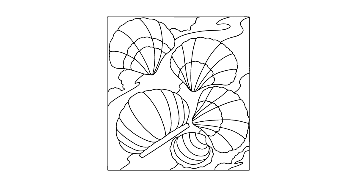 Shells coloring page for Kids ♥ Online and Print for Free!