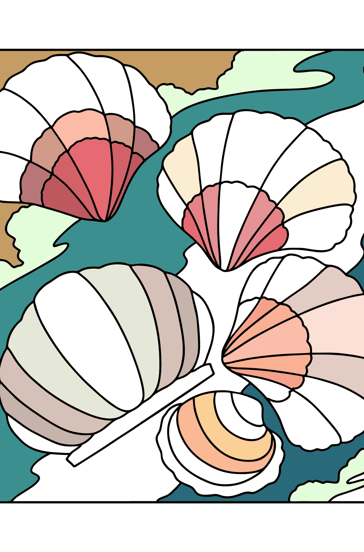 Shells coloring page - Coloring Pages for Kids