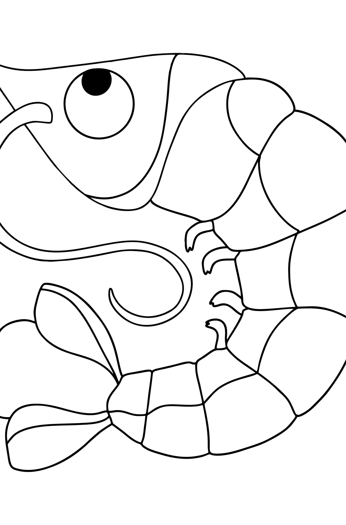 Shrimp coloring page - Coloring Pages for Kids