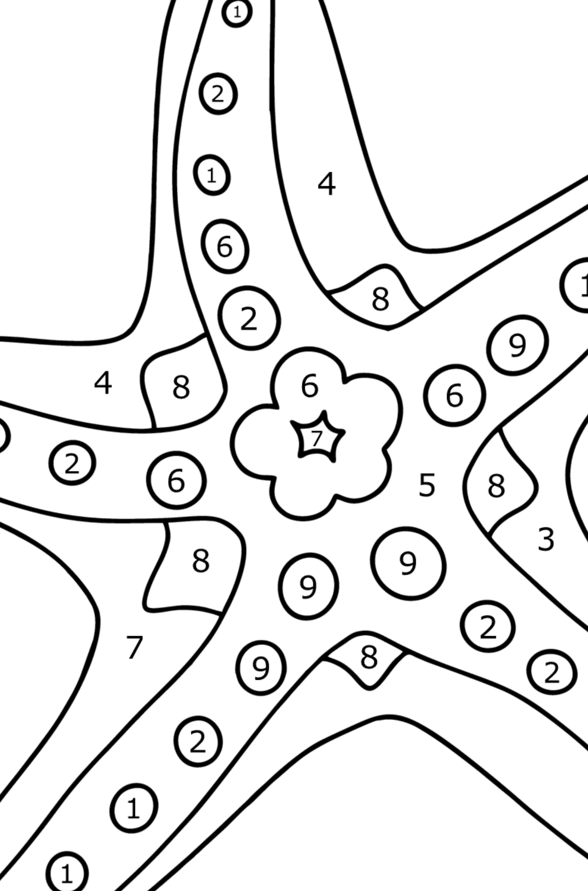 Starfish coloring page - Coloring by Numbers for Kids