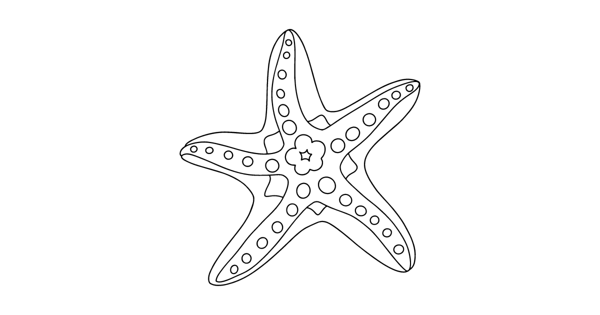 Раскраски морская звезда