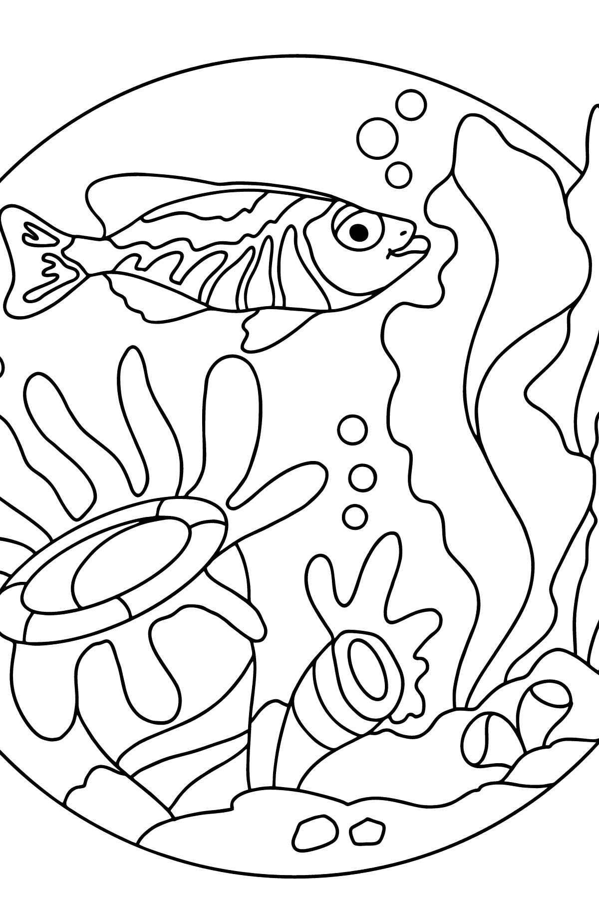 Tegning til fargelegging fisk (vanskelig) - Tegninger til fargelegging for barn