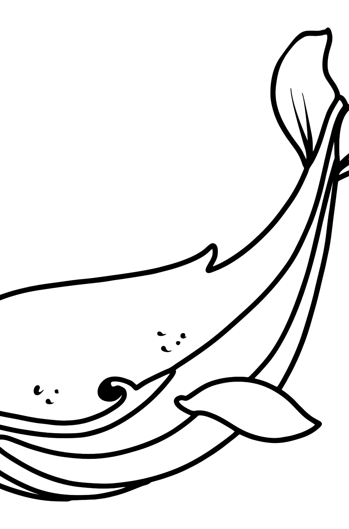 Kifestő sperma bálna - Színező oldalak gyerekeknek