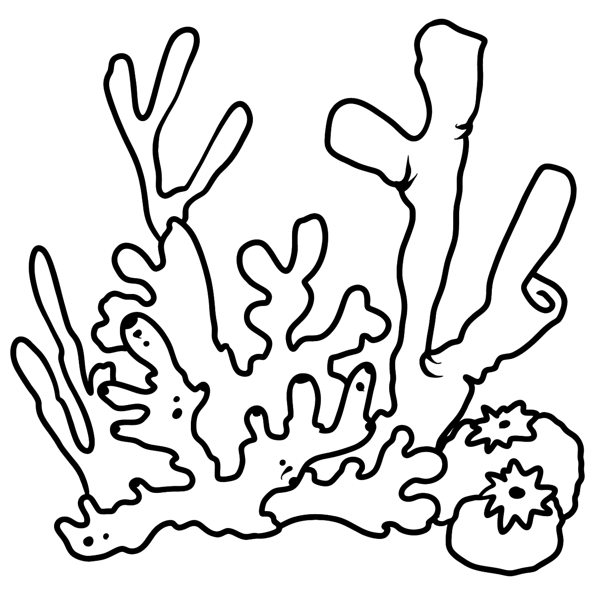 Морские водоросли раскраска для детей