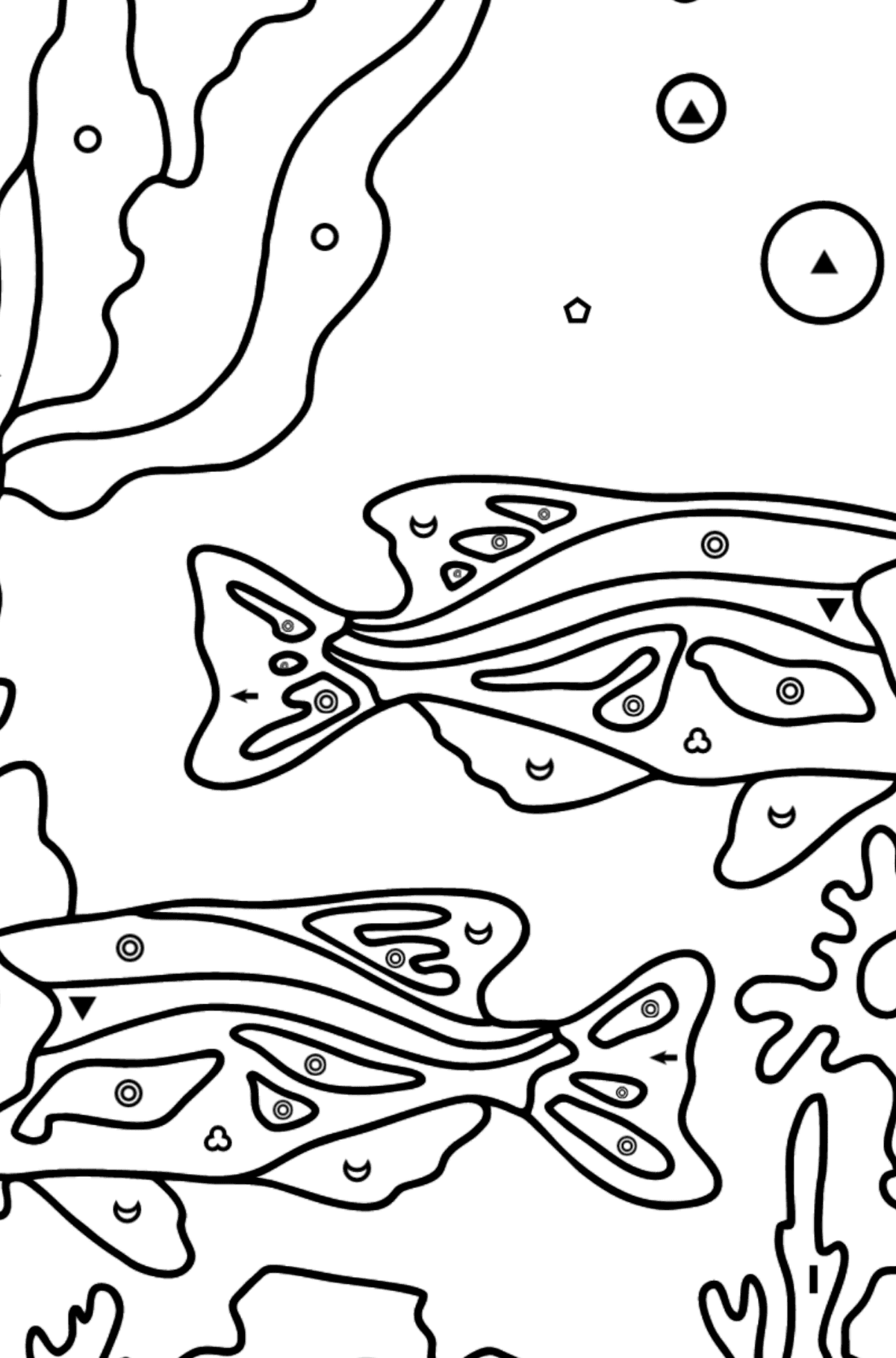 Two Fish Coloring Page - Fish are Swimming Beautifully - Coloring by Symbols and Geometric Shapes for Kids