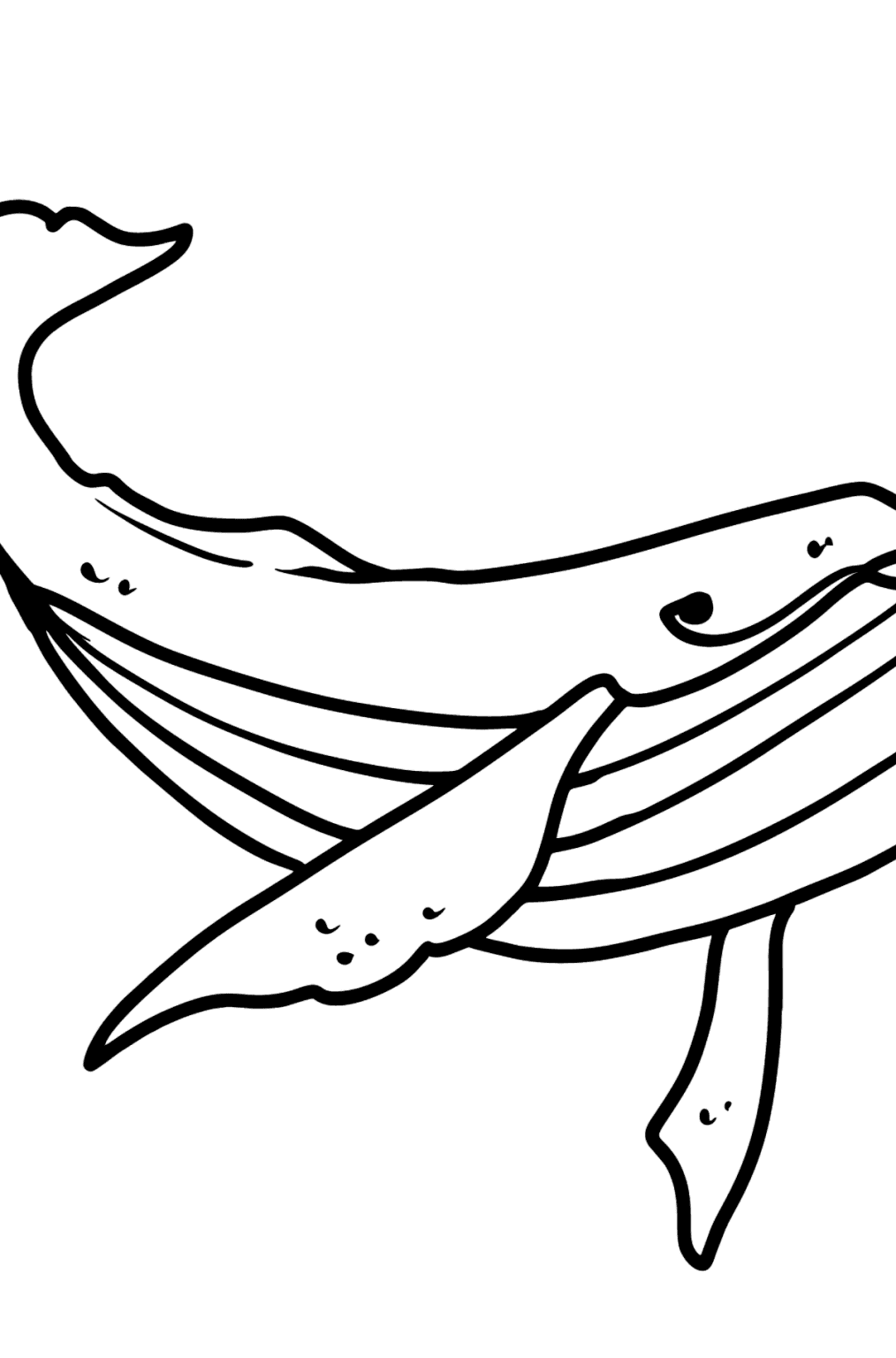 Humpback Whale coloring page - Online or Printable for Free!