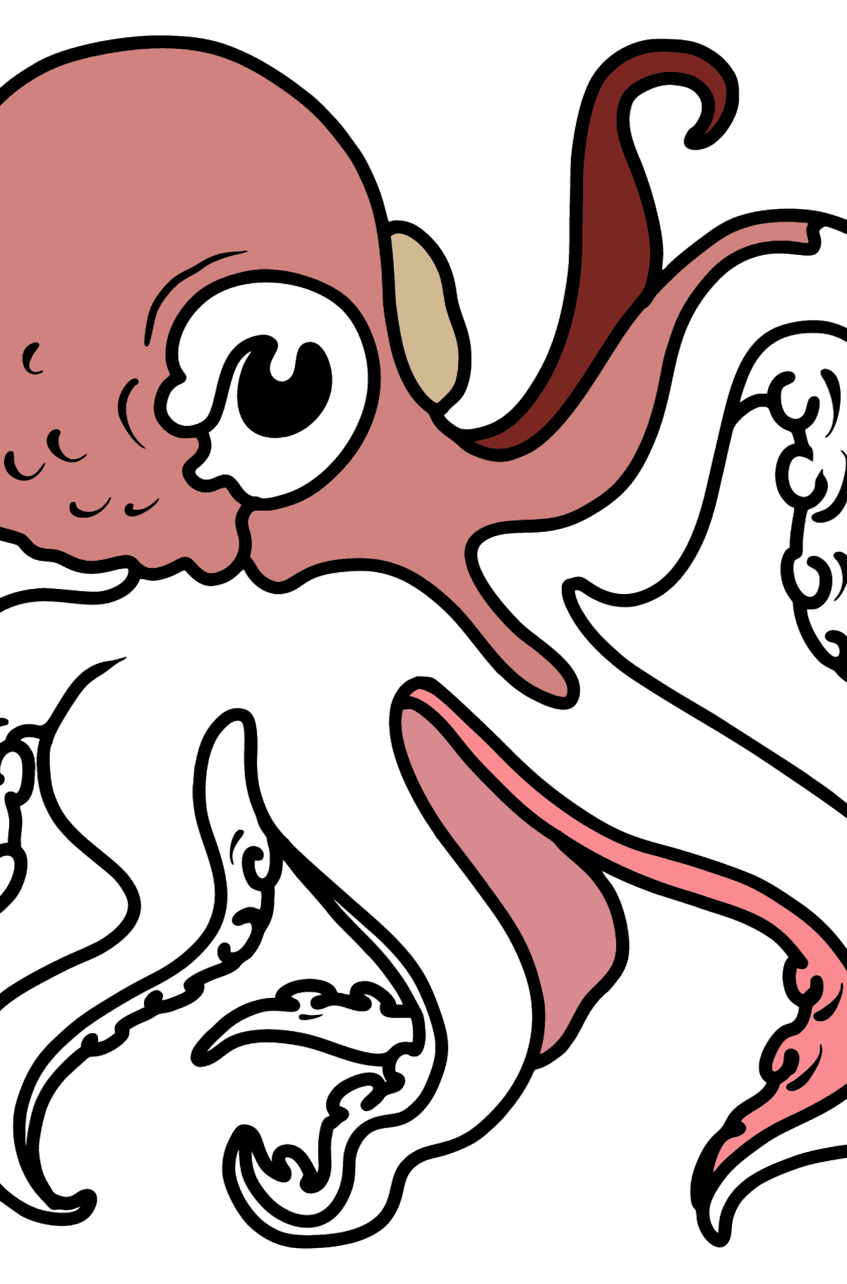 Tegning til fargelegging vakker blekksprut - Tegninger til fargelegging for barn