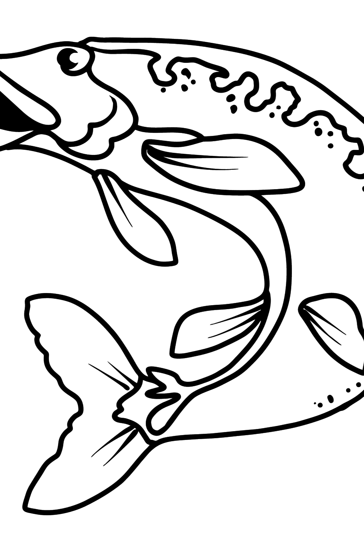Pike coloring page - Coloring Pages for Kids