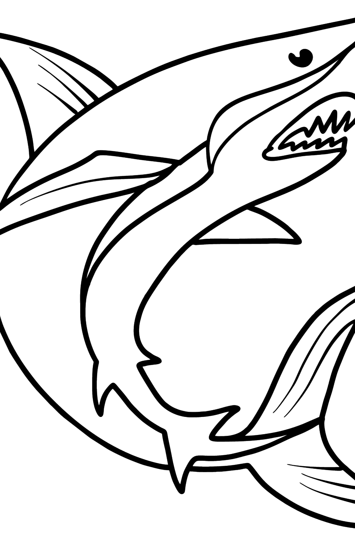 Boyama sayfası güzel köpek balığı - Boyamalar çocuklar için