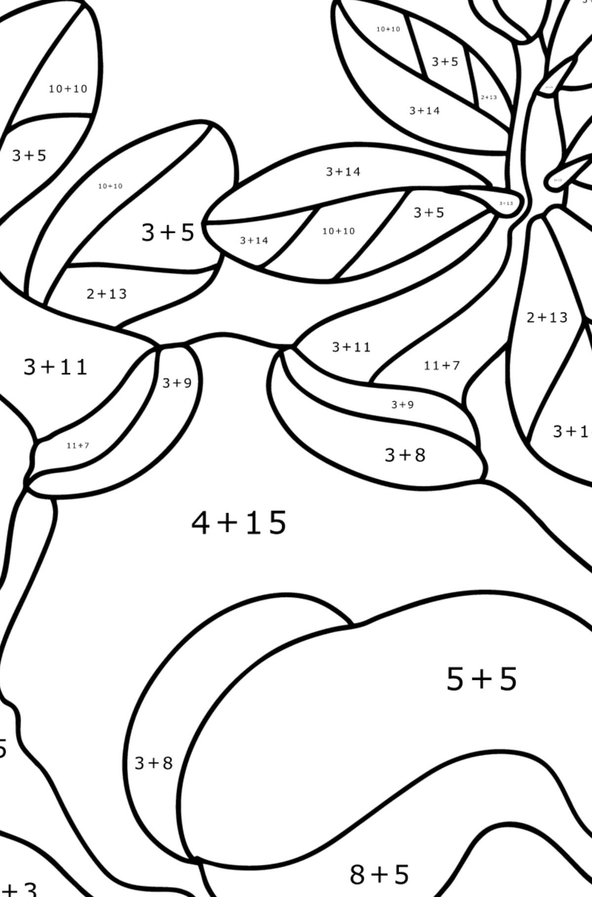 Adenium coloring page - Math Coloring - Addition for Kids
