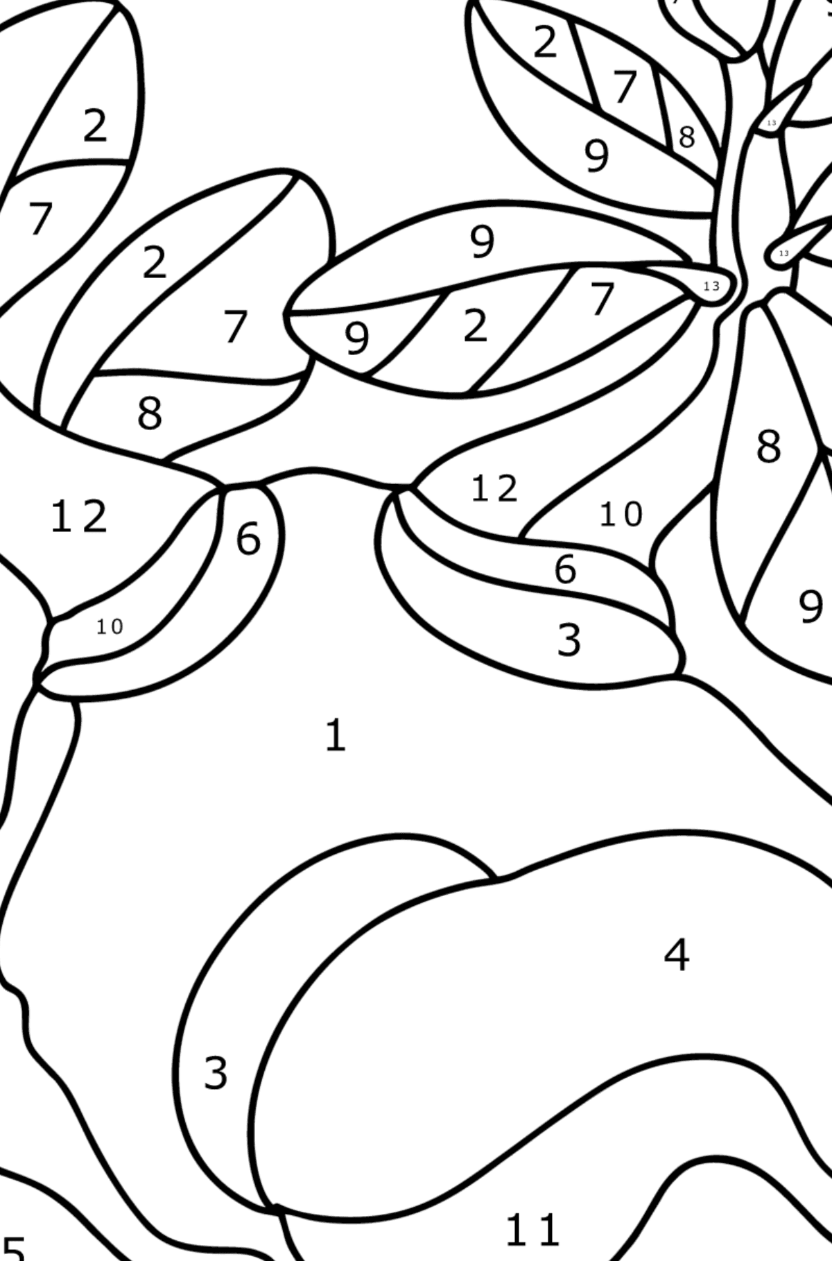 Adenium coloring page - Coloring by Numbers for Kids