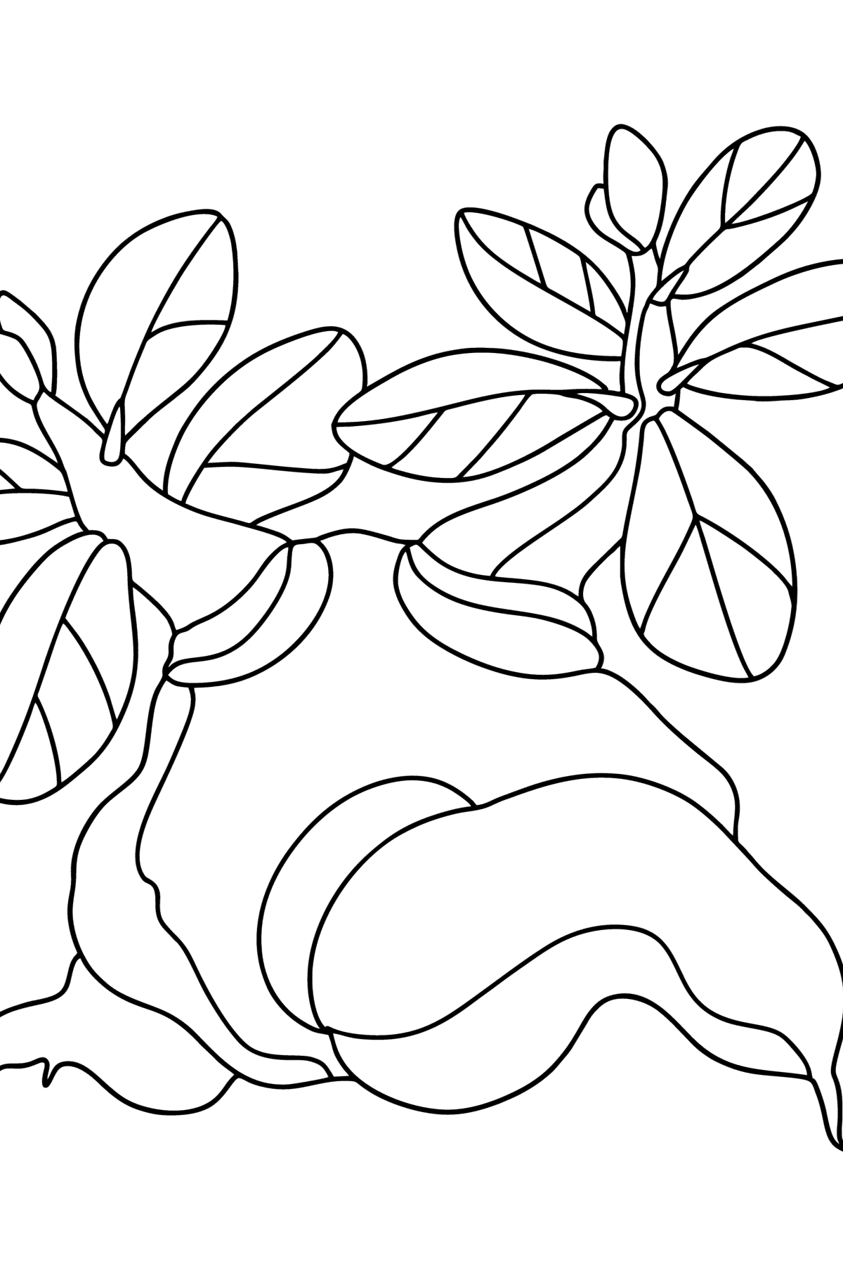 Desenho de Adenium para colorir - Imagens para Colorir para Crianças