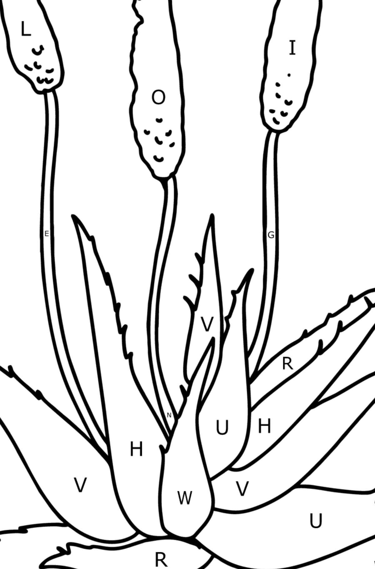 Aloe coloring page - Coloring by Letters for Kids