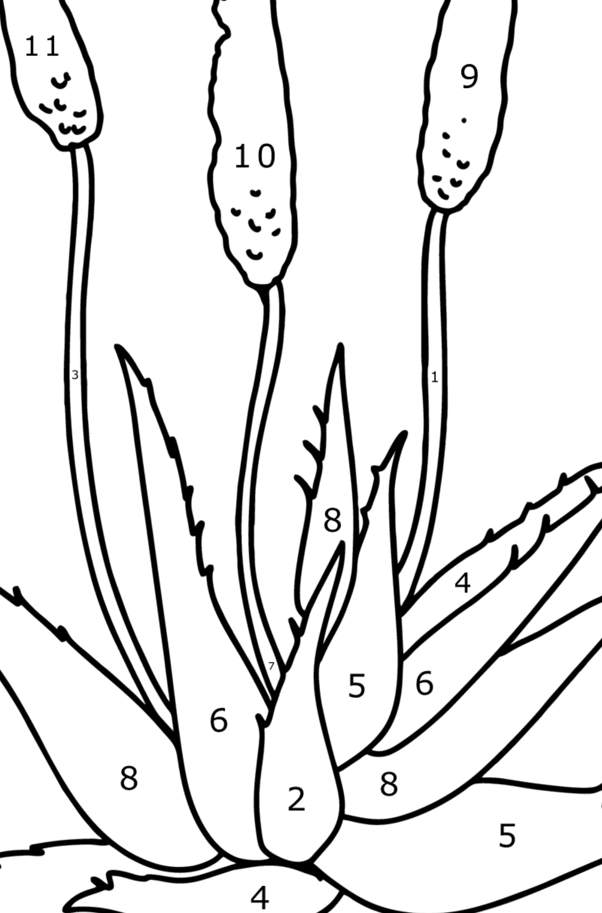 Desen de colorat Aloe - Desen de colorat după Număr pentru copii