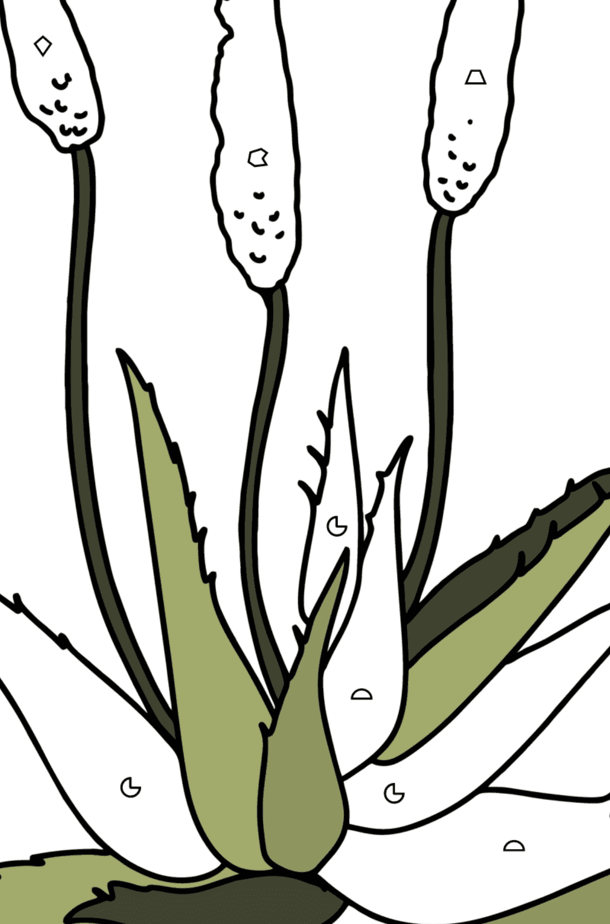 Aloe coloring page - Coloring by Geometric Shapes for Kids