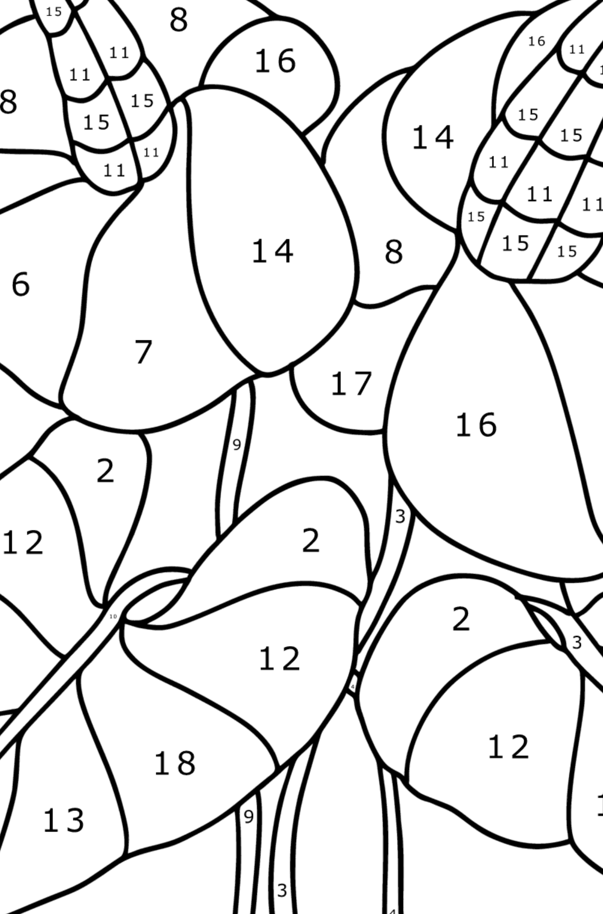 Anthurium coloring page - Coloring by Numbers for Kids