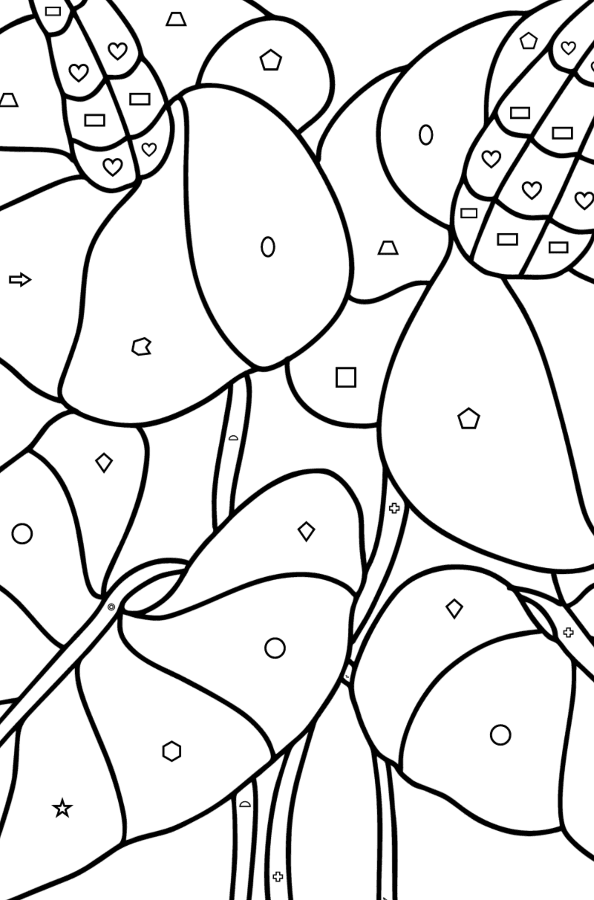 Anthurium coloring page - Coloring by Geometric Shapes for Kids