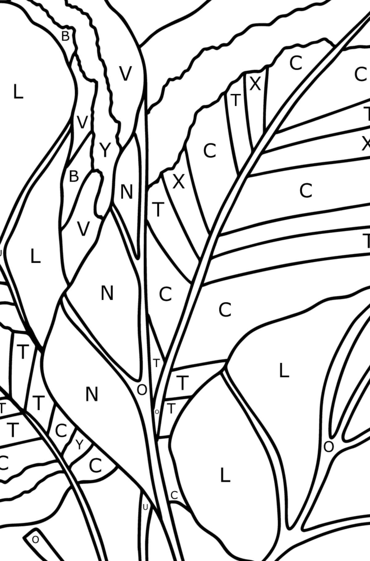 Arrowroot coloring page - Coloring by Letters for Kids