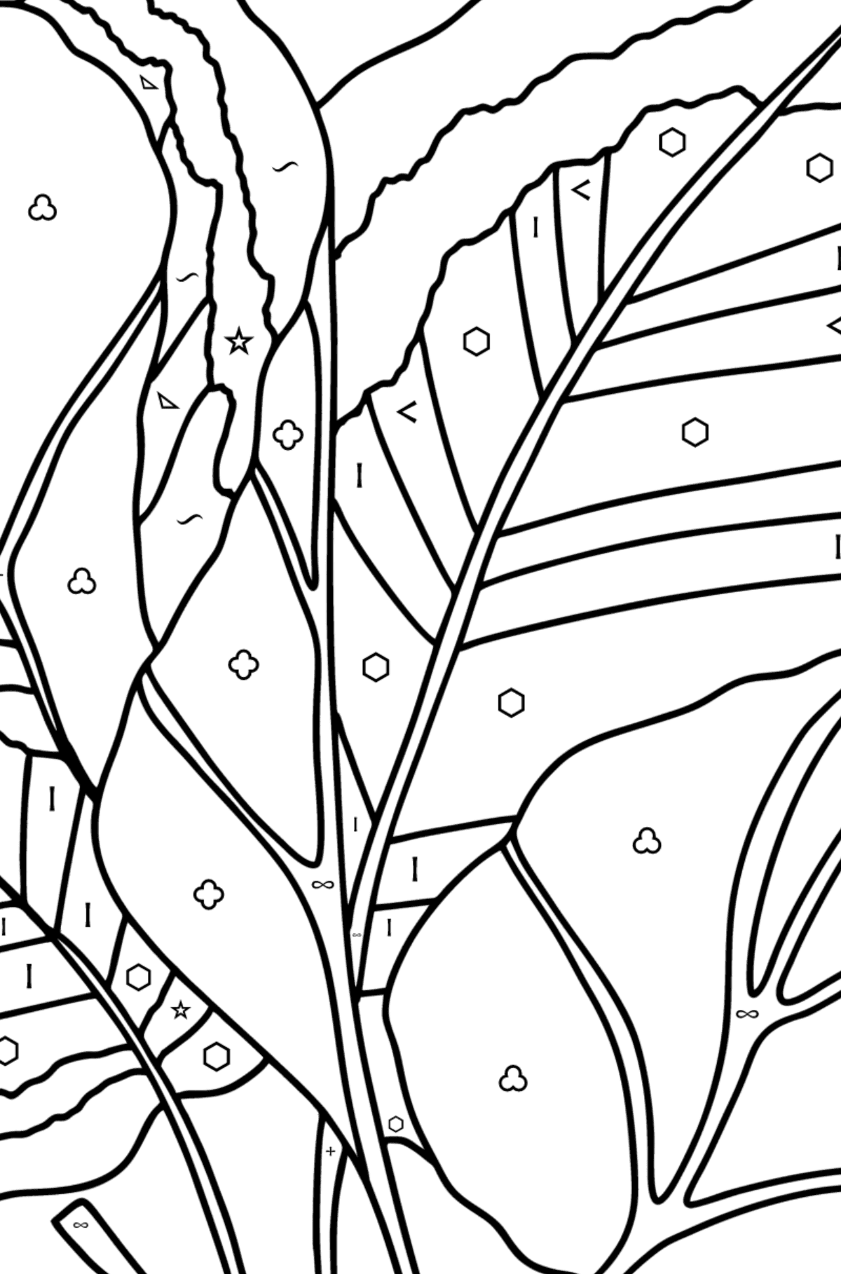 Arrowroot coloring page - Coloring by Symbols and Geometric Shapes for Kids