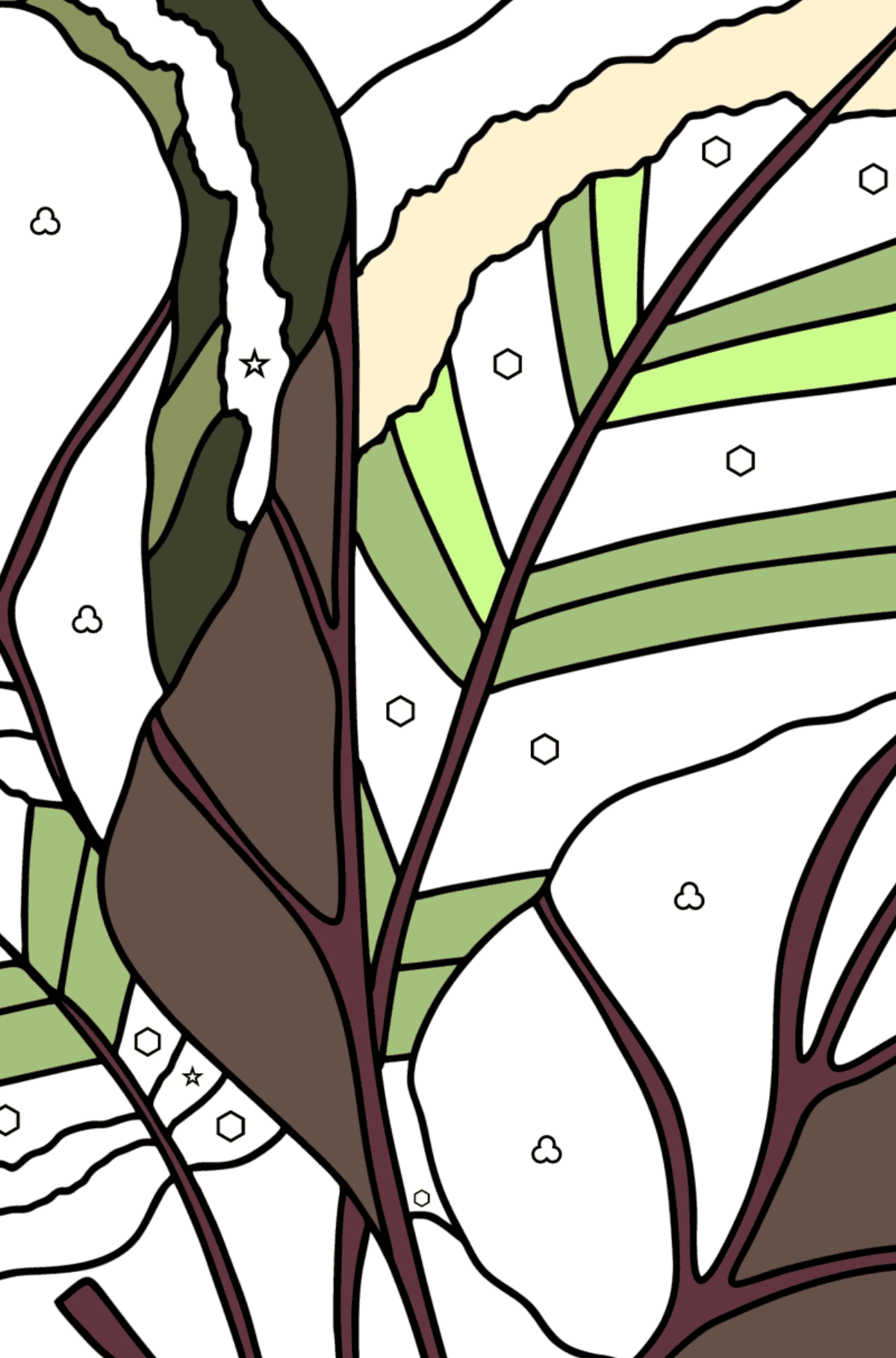 Arrowroot coloring page - Coloring by Symbols and Geometric Shapes for Kids