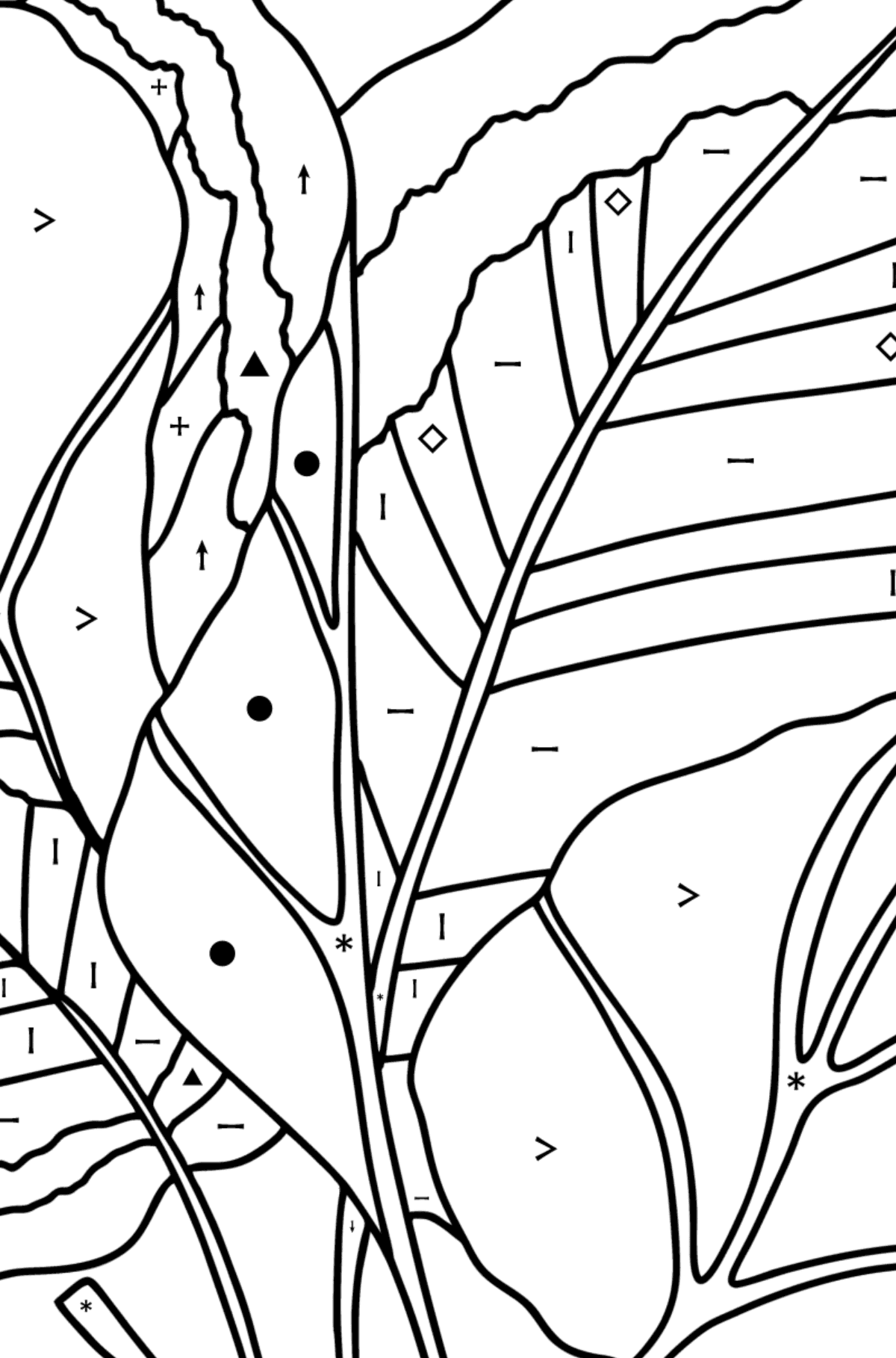 Arrowroot coloring page - Coloring by Symbols for Kids