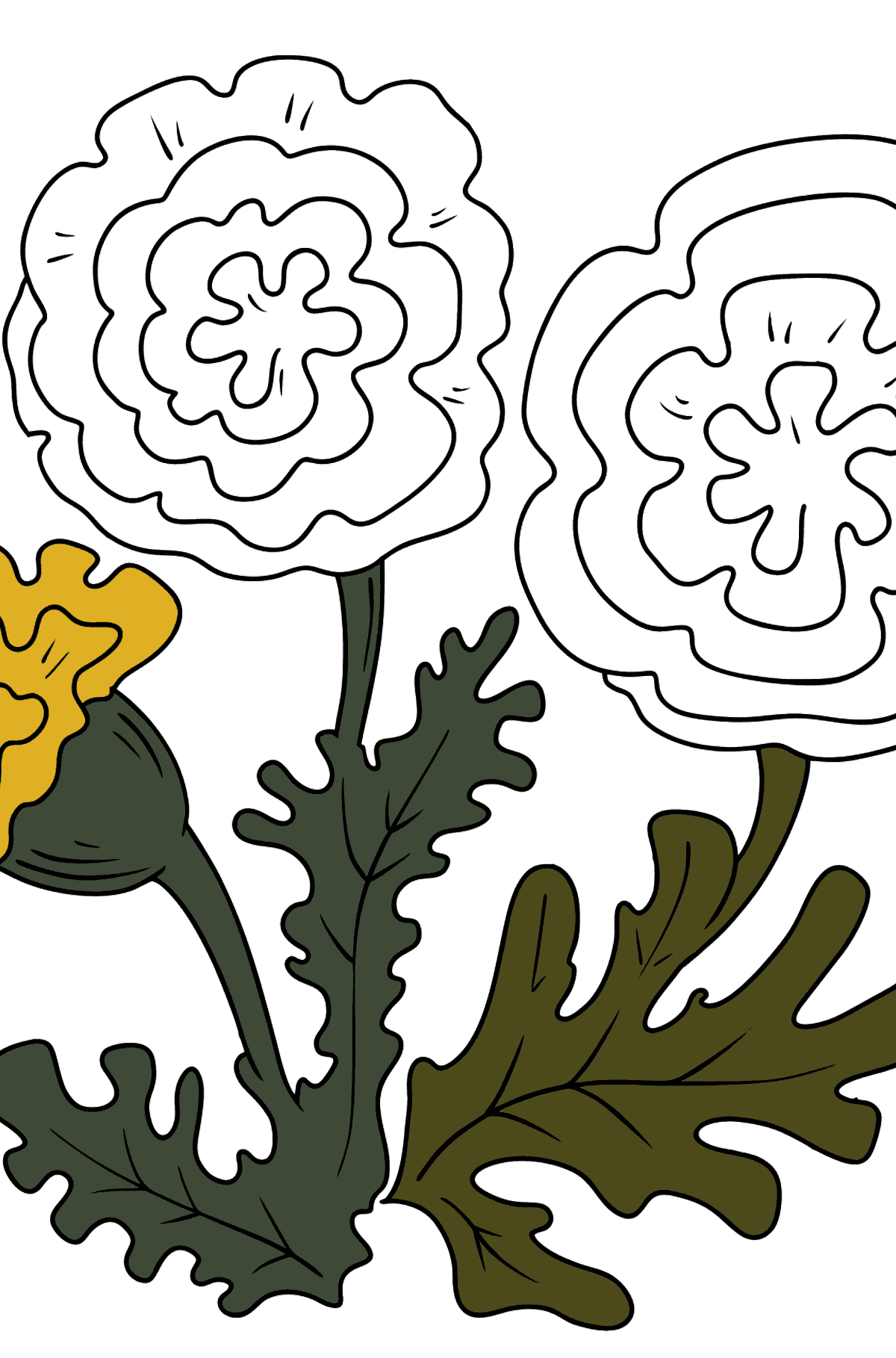 Coloring Page - Autumn flowers - Coloring Pages for Kids
