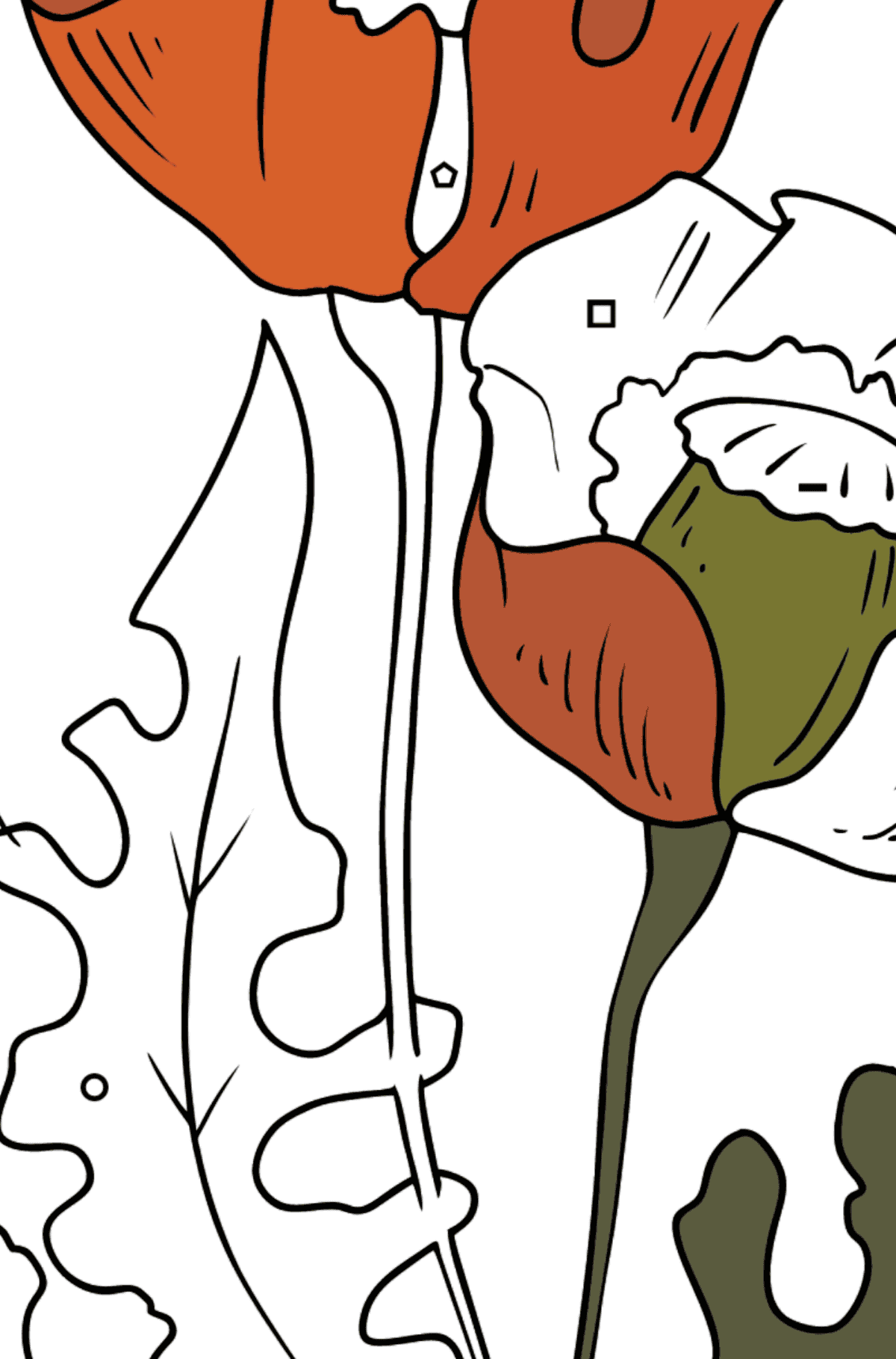 Flower Coloring Page - Beautiful Poppies - Coloring by Symbols and Geometric Shapes for Kids