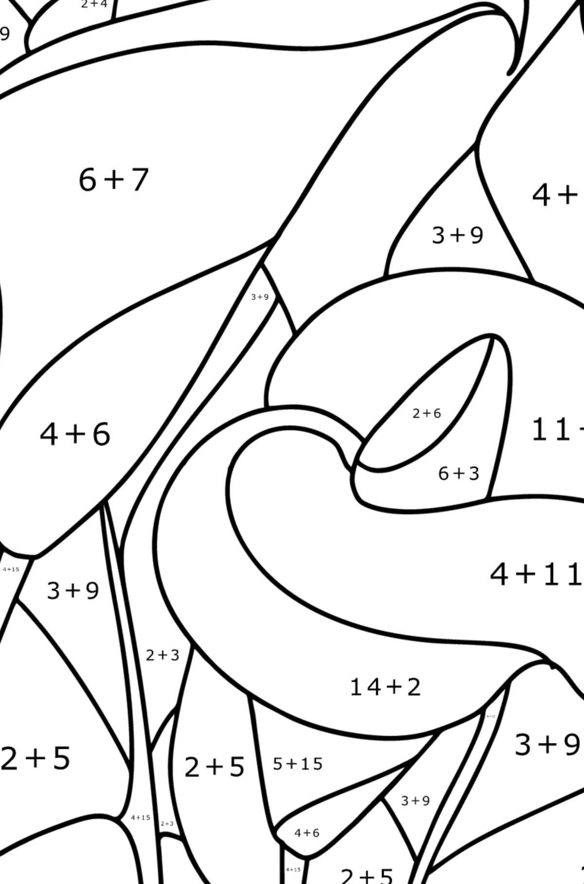 Calla coloring page - Math Coloring - Addition for Kids