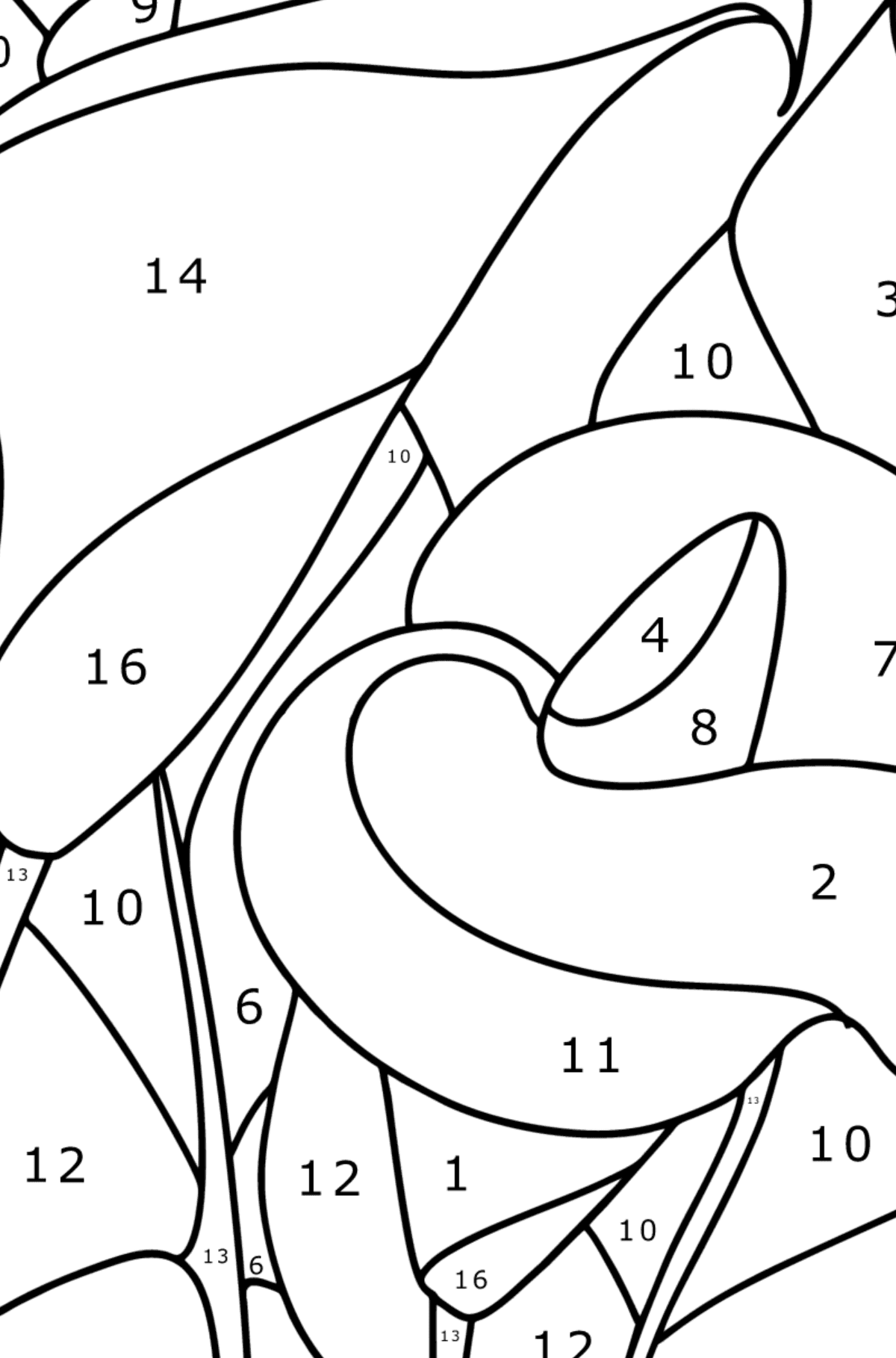 Calla coloring page - Coloring by Numbers for Kids