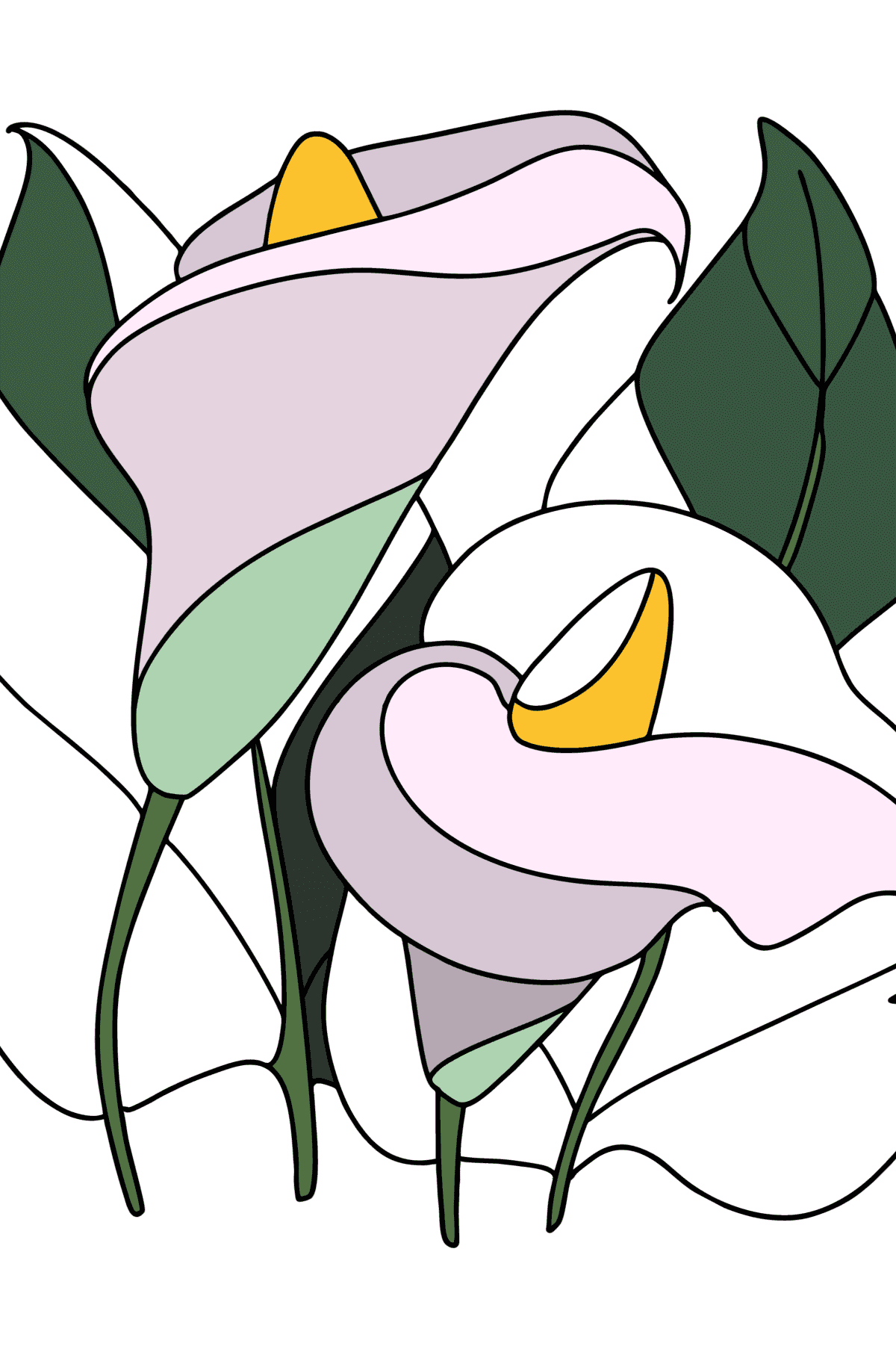 Calla coloring page - Coloring Pages for Kids