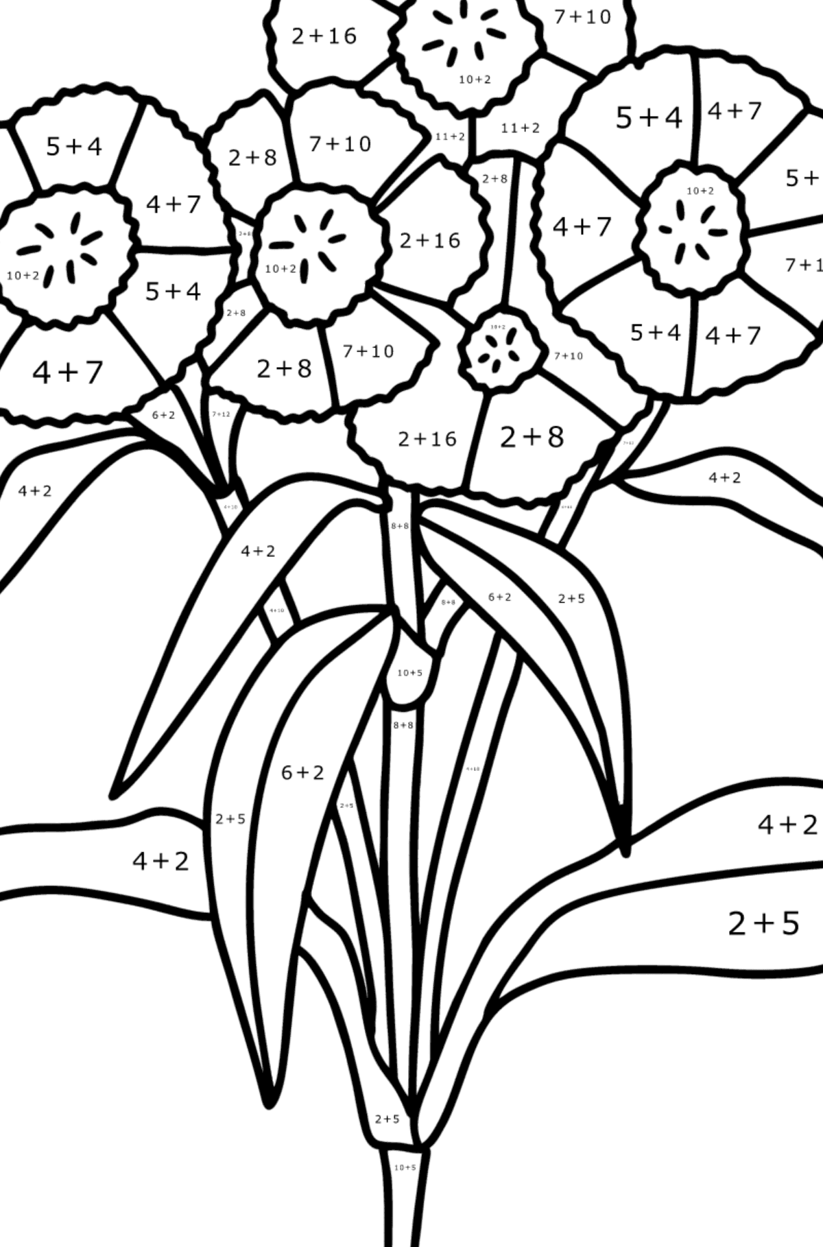 Carnations coloring page - Math Coloring - Addition for Kids