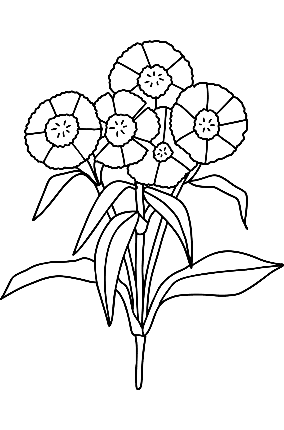 Carnations coloring page - Coloring Pages for Kids