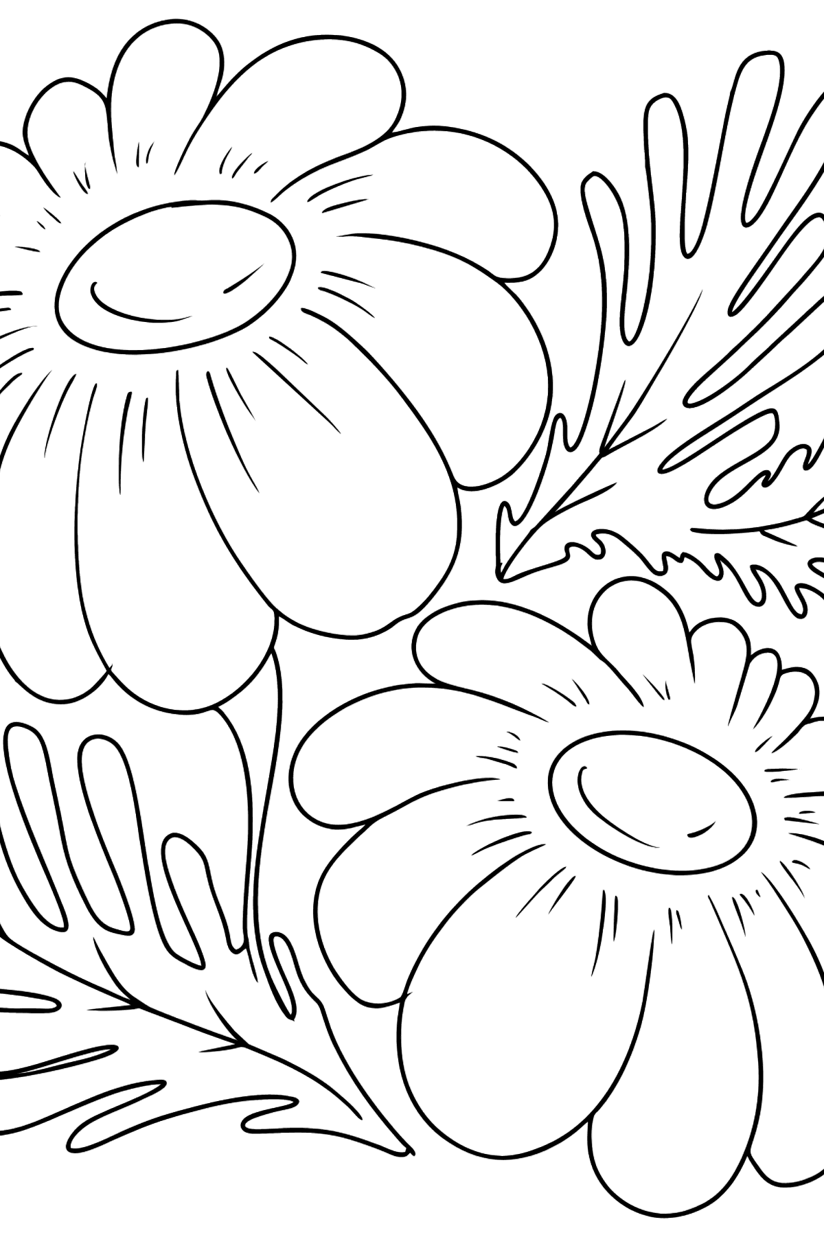 Desenho para colorir de flores de camomila - Imagens para Colorir para Crianças