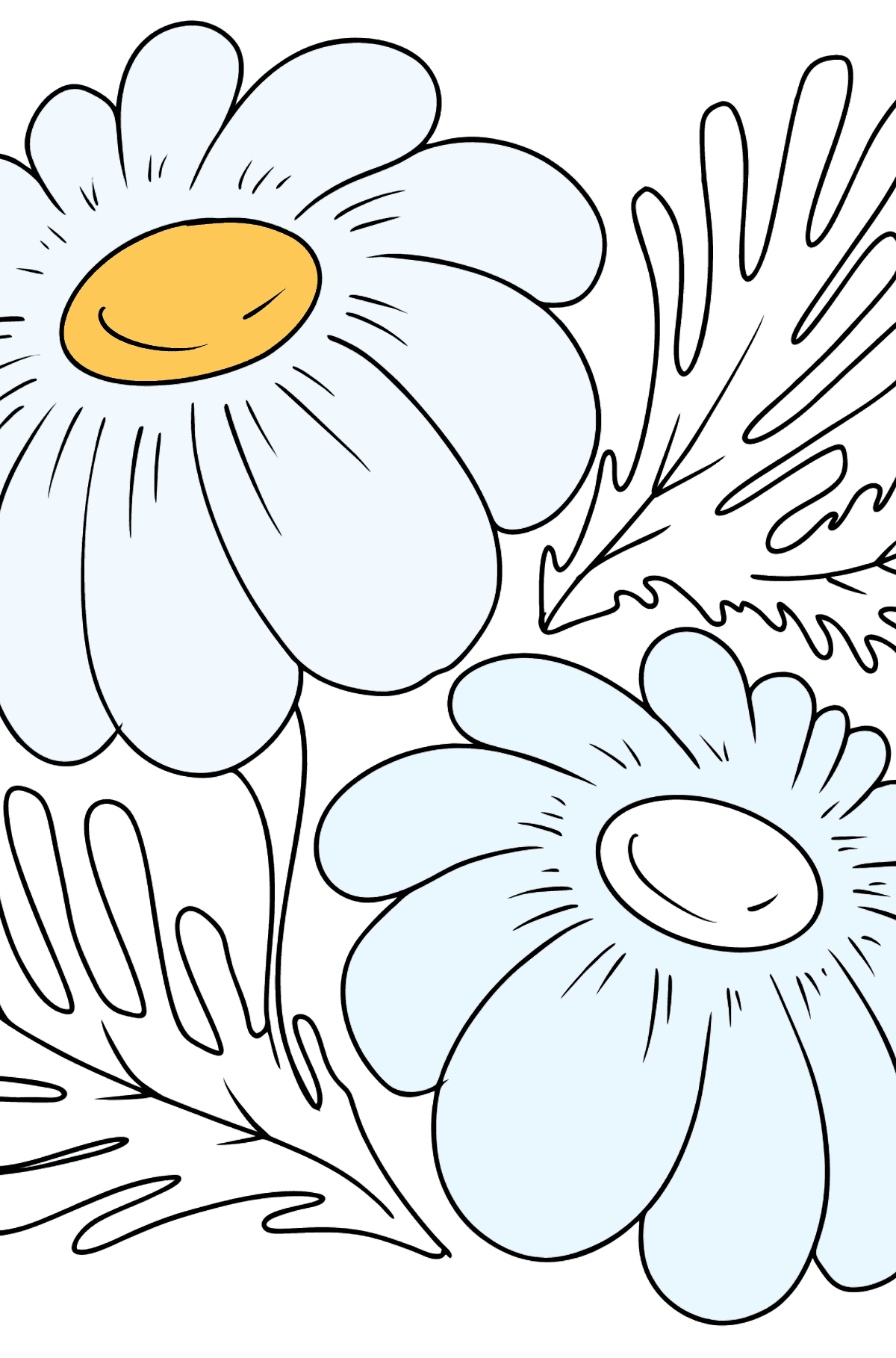 Coloring Page - Chamomile flowers - Coloring Pages for Kids