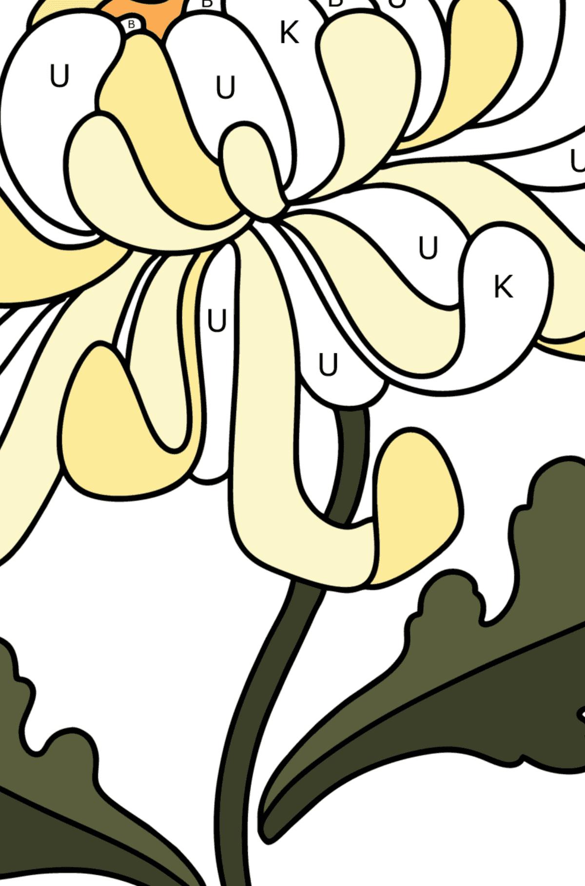 Ausmalbild Chrysanthemen - Ausmalen nach Buchstaben für Kinder
