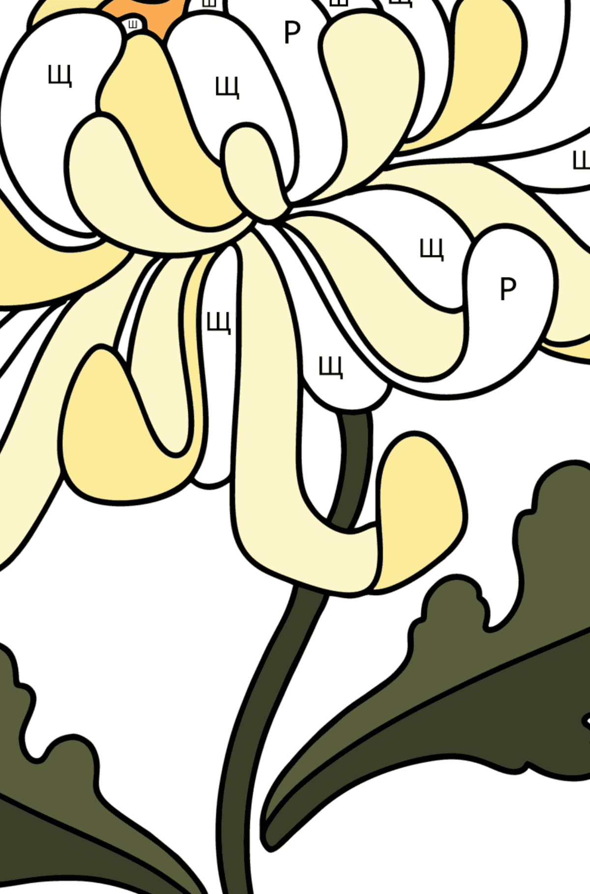 Раскраска Хризантемы - По Буквам для Детей