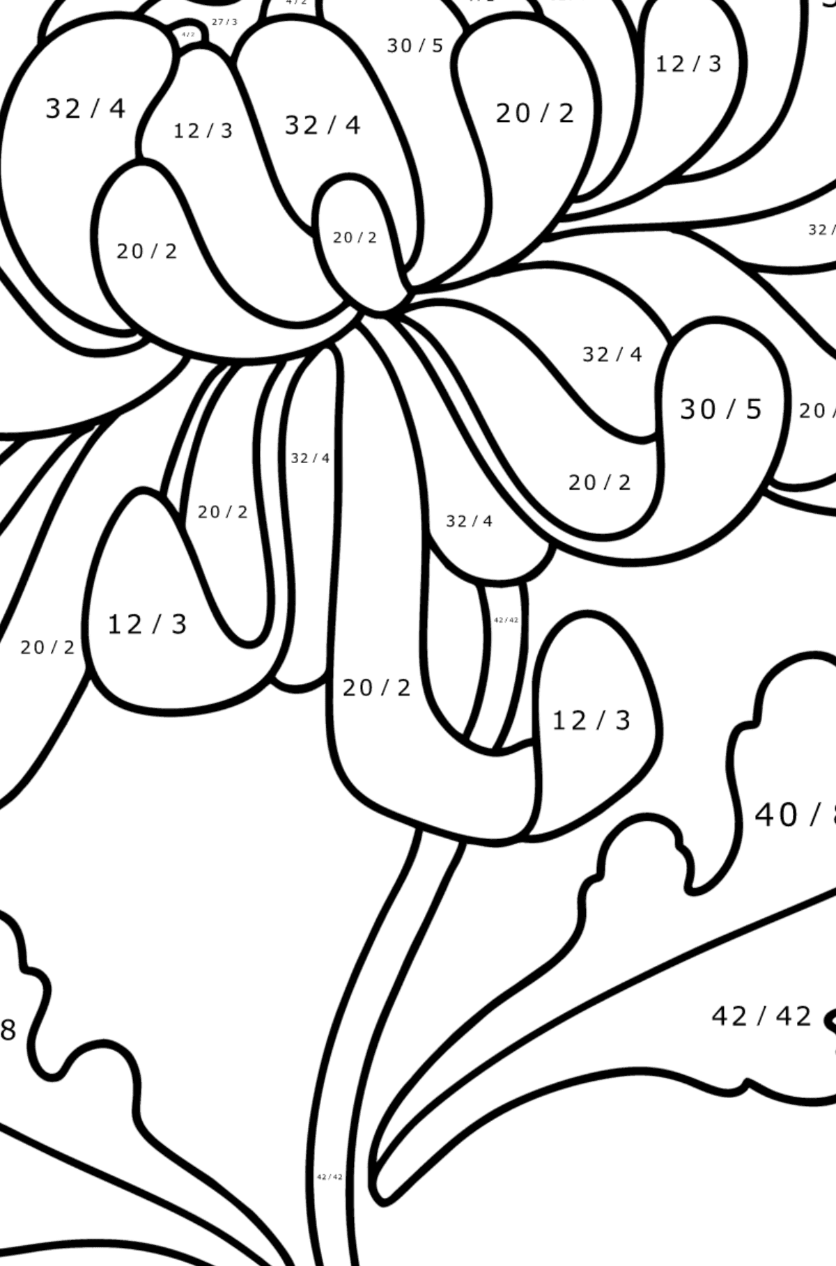 Dibujo de Crisantemos para colorear - Colorear con Matemáticas - Divisiones para Niños