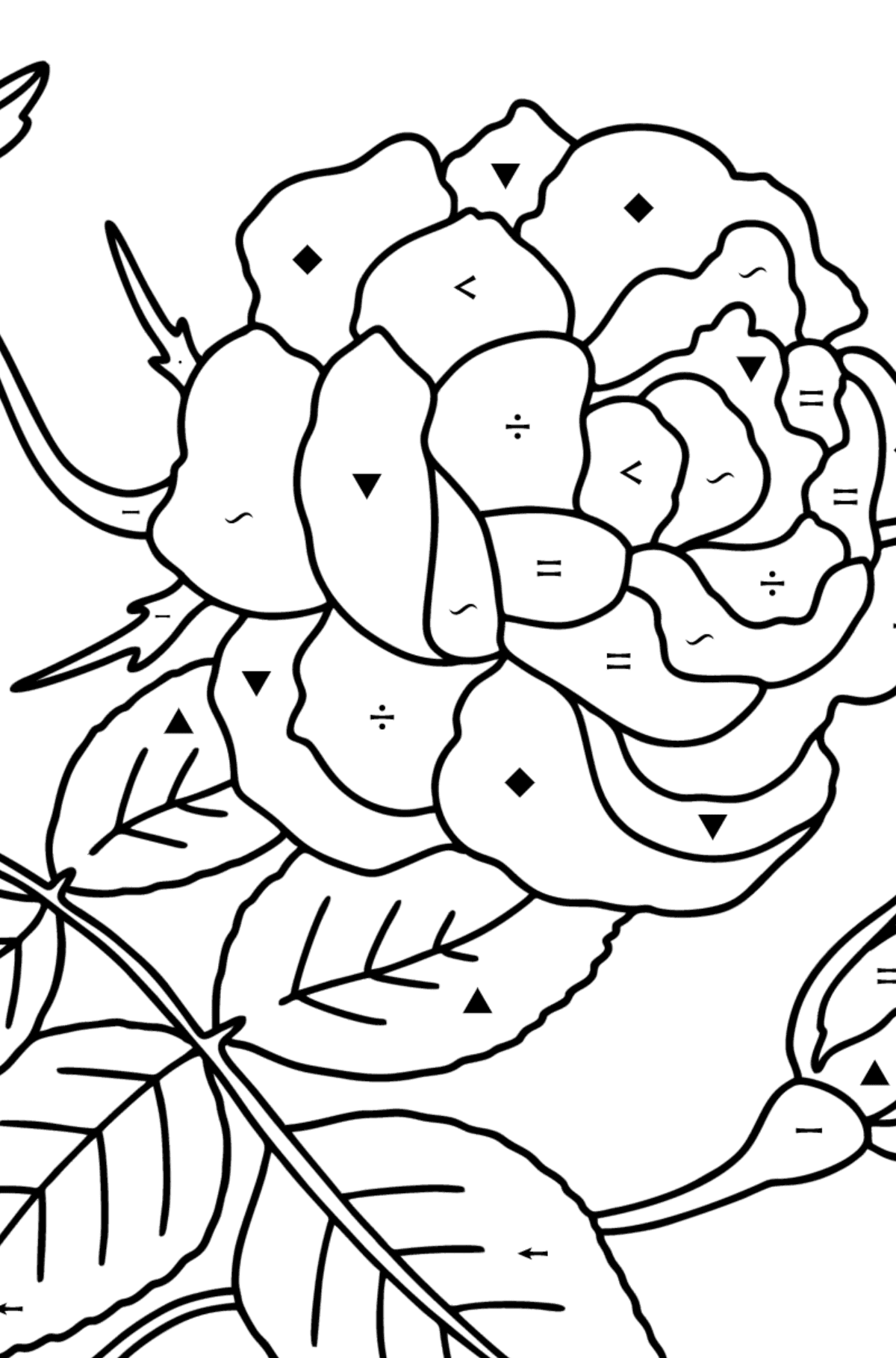 Climbing rose red coloring page - Coloring by Symbols for Kids