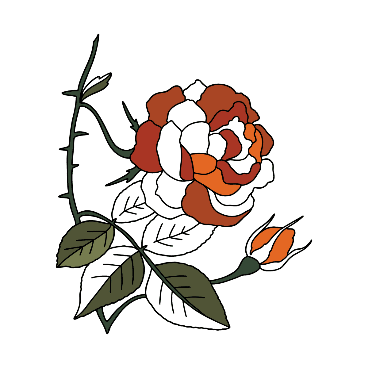 NUEVO