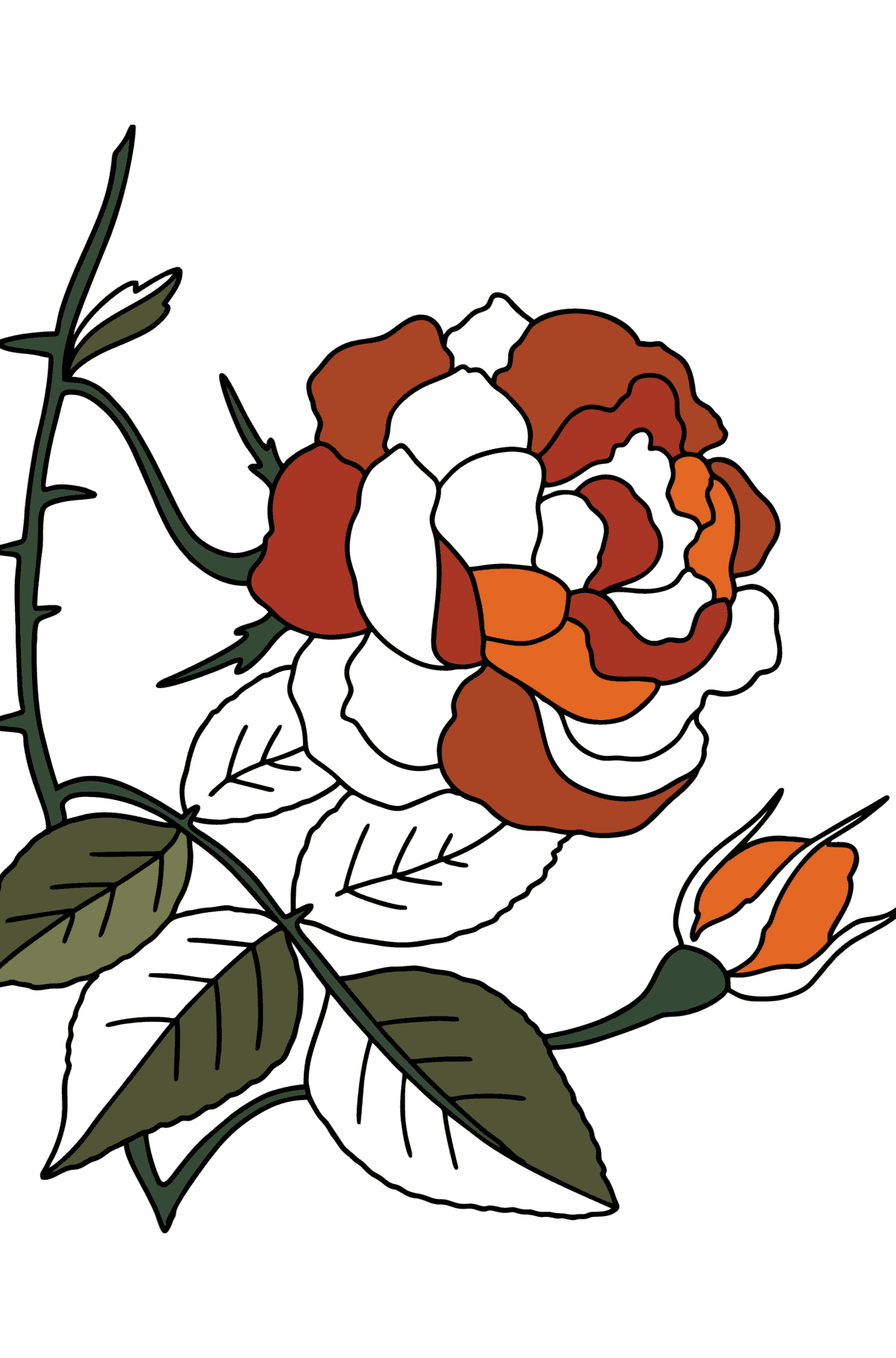 Disegno di Rosa rampicante rossa da colorare - Disegni da colorare per bambini